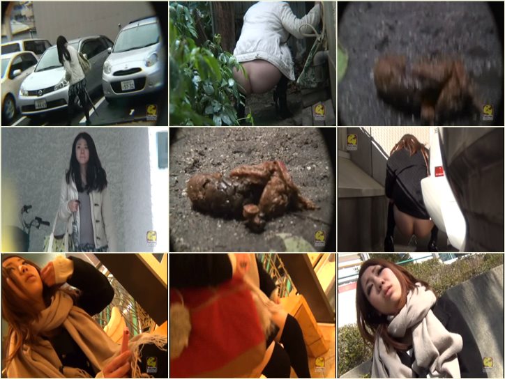 Japanese Scat Voyeur PM-093