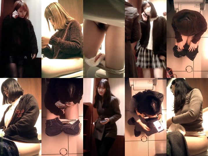 HD Japanese Toilet Style.255