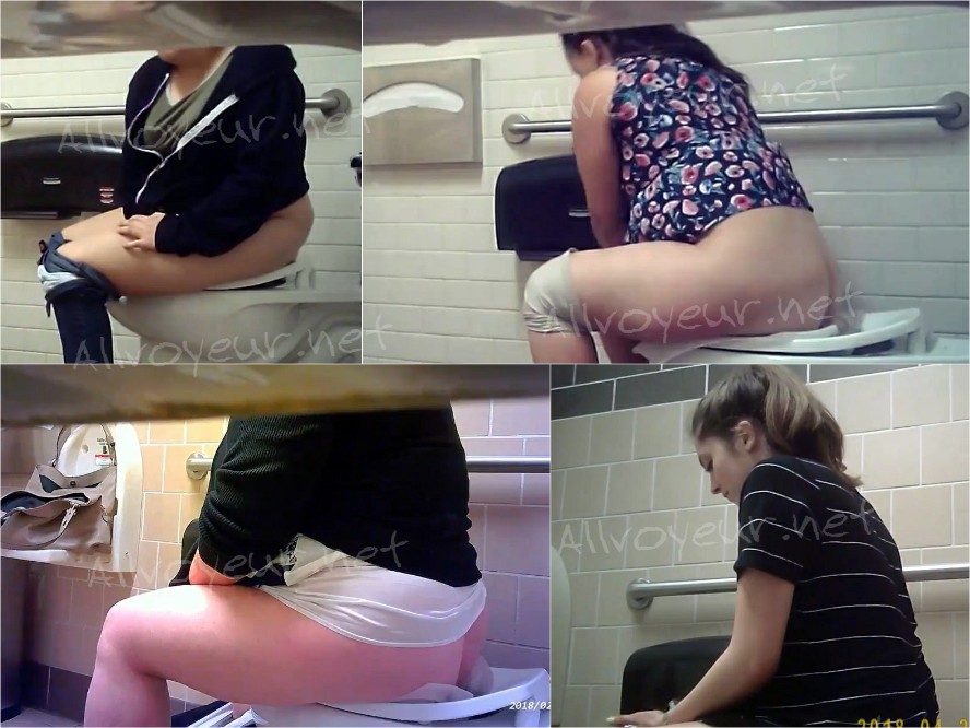 Grocery Store Toilet 1-3