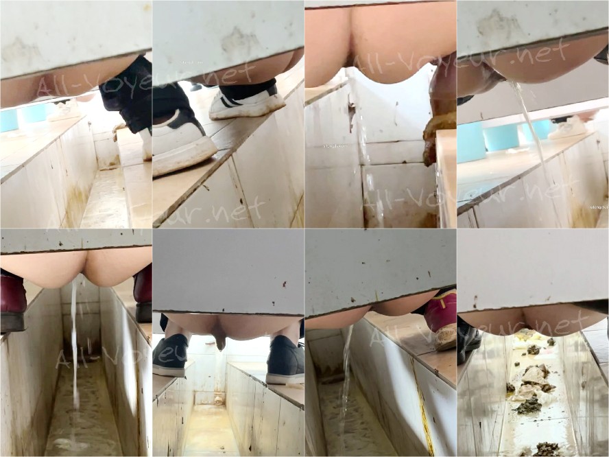 【重口厕拍】女拍手沟式旱厕偷拍-满屏大便 拉稀第25期60V[某房原版]