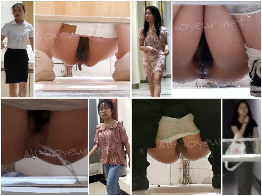 China Toilet Voyeur sifangktv 2453-2455