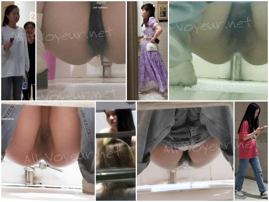 China Toilet Voyeur sifangktv 2456-2458