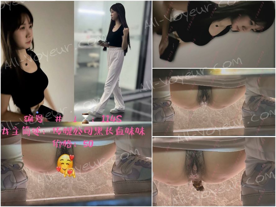 十二月最新流出厕拍大神变幻❤️单部售卖系列传媒公司黑长直发白领小姐姐大号