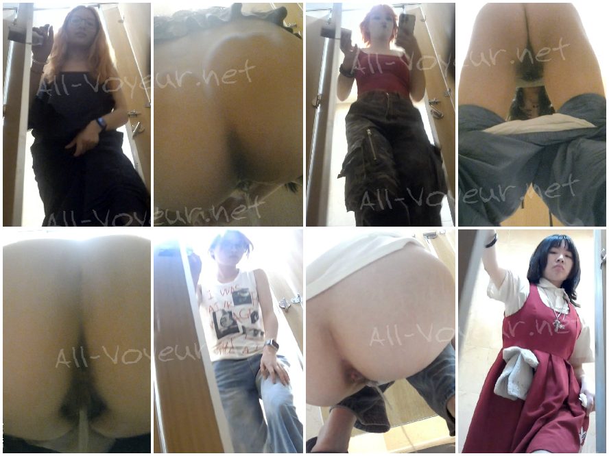 後に撮影された複数のシーン、多数の美しい菊 42V