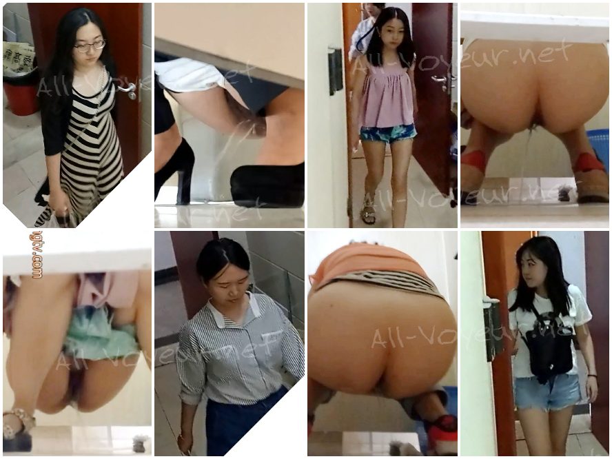 China Toilet Voyeur sifangktv 2530-2532
