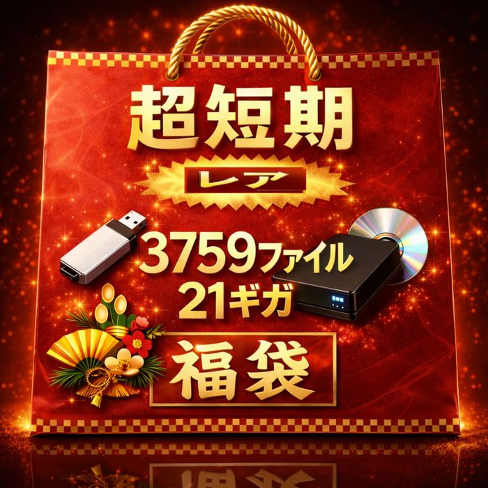 超短期　りゅ〇しゅつ　１１０人詰め合わせ　非売品　レア　３７５９ファイル　２１ギガ