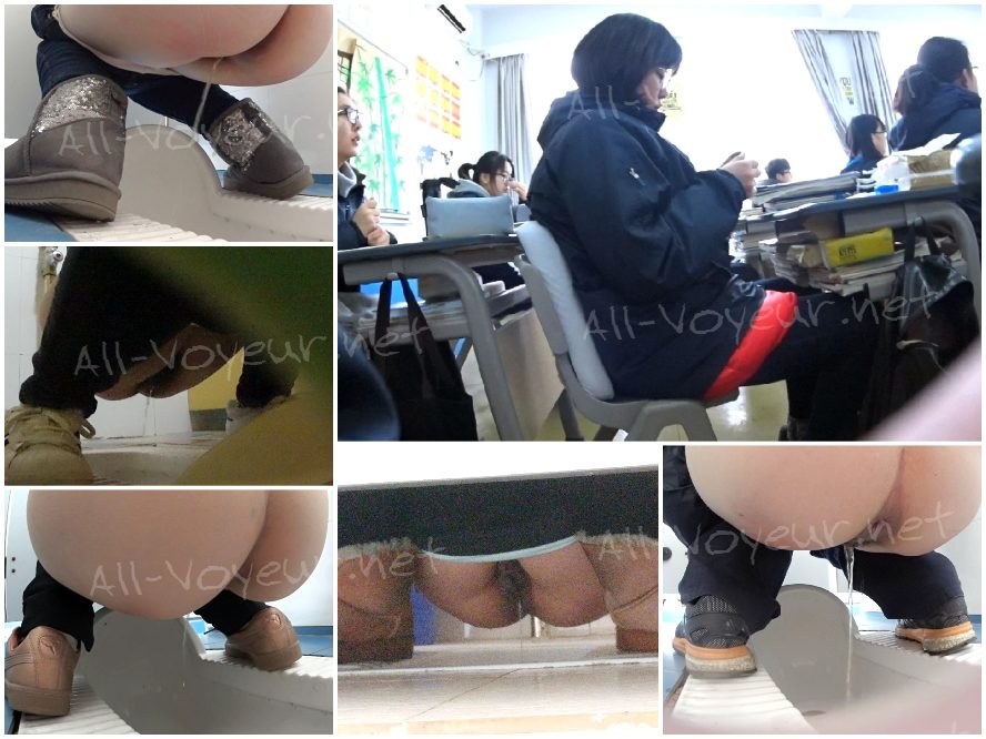 【定番・トイレ映像】「青春への賛歌」シリーズ：完全版 — 高校2年生の少女が、その可憐な秘部から排尿する様子を至近距離で捉えた映像に加え、彼女のSNSフィードから厳選された日常のスナップ写真も併せて収録。