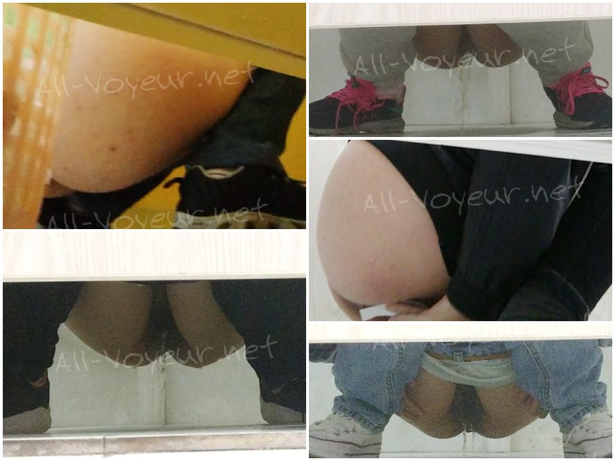 【定番・トイレ映像】「青春への賛歌」シリーズ：完全版 — 高校2年生の少女が、その可憐な秘部から排尿する様子を至近距離で捉えた映像に加え、彼女のSNSフィードから厳選された日常のスナップ写真も併せて収録。