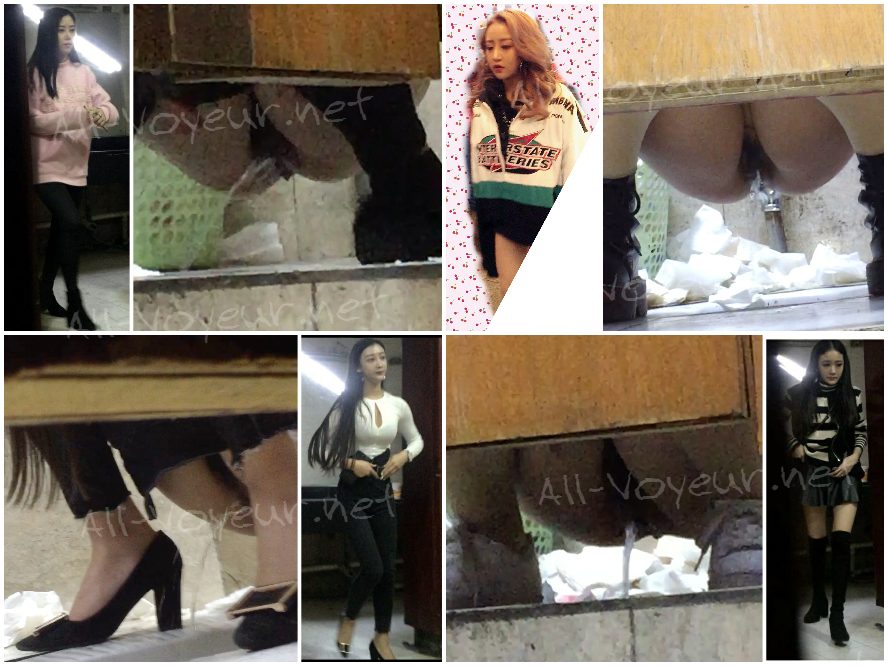 『Bingchenシリーズ：究極の女神』 — トイレ盗撮コレクション完全版（全4セット中 第2弾） | 本作は47名のスタイリッシュな若き美女を収録 [透かしなしオリジナル版]