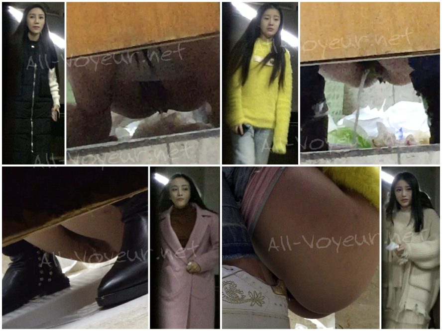 『Bingchenシリーズ：究極の女神』 — トイレ盗撮コレクション完全版（全4セット中 第2弾） | 本作は47名のスタイリッシュな若き美女を収録 [透かしなしオリジナル版]