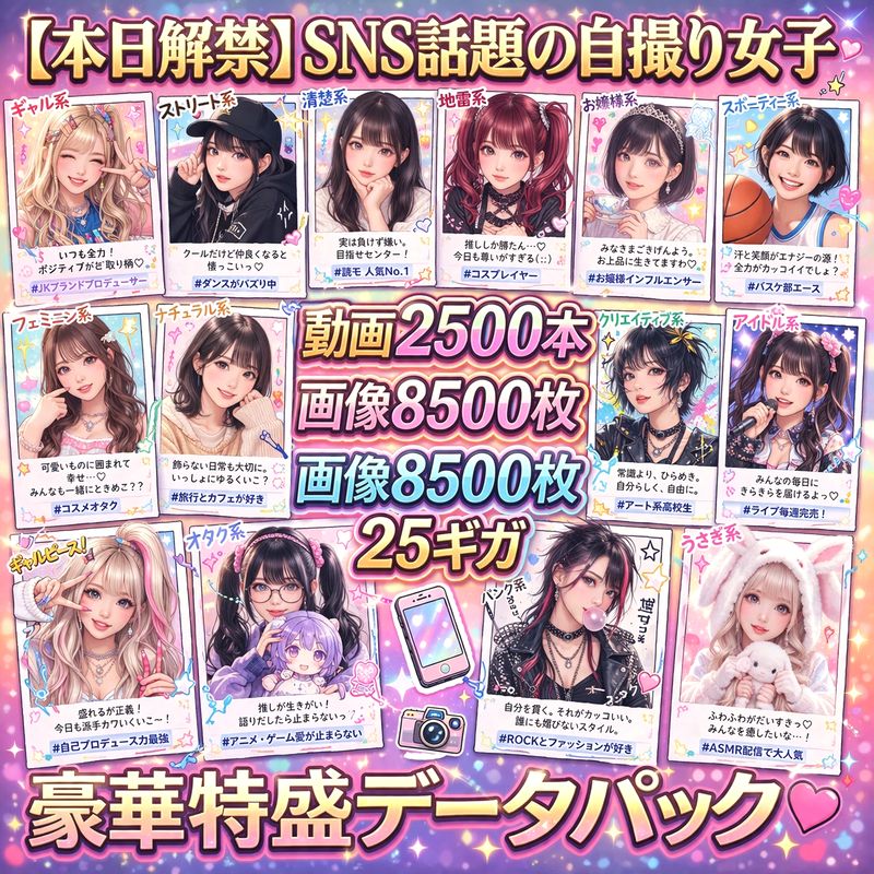 【本日限定】SNSで話題の自撮り女子・豪華特盛データパック【動画２５００本画像８５００枚２５ギガ】