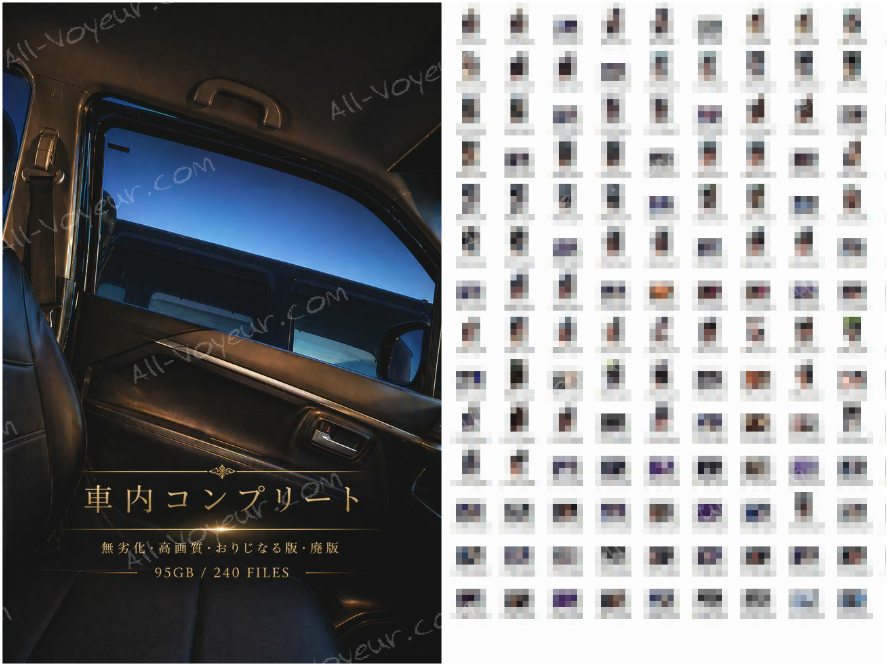 週末限定　車内コンプリート　無劣化・高画質・廃版・ロゴ無・おりじなる版　９５ギガ　２４０ファイル