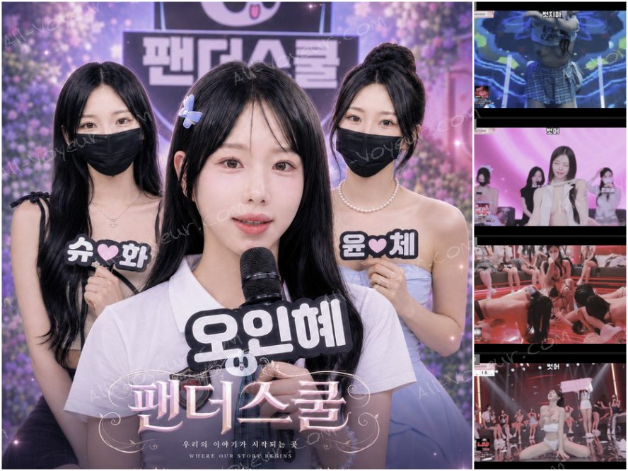 大人数韓国美女のダンスショー ～トップレスで踊り狂う19禁ライブステージ～パート2 – HD高画質