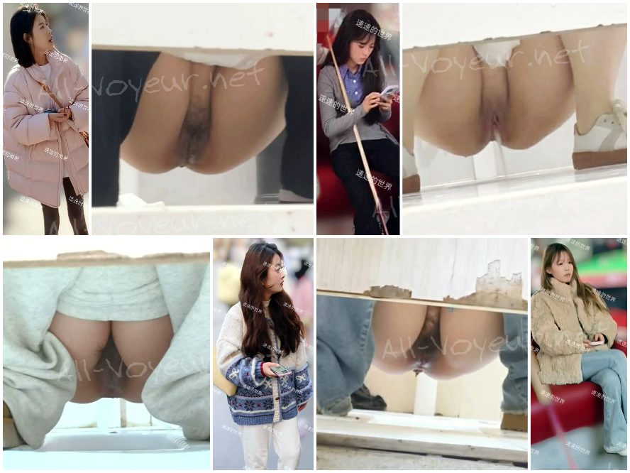 China Toilet Voyeur sifangktv 2887-2889
